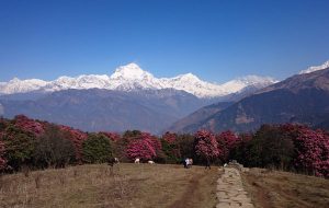 Le Balcon des Annapurnas