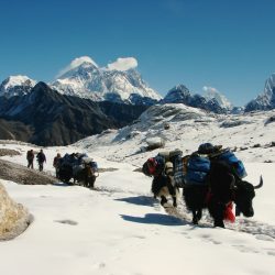 Camp de base de l’Everest en Jeep
